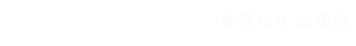 2026年世界杯官网